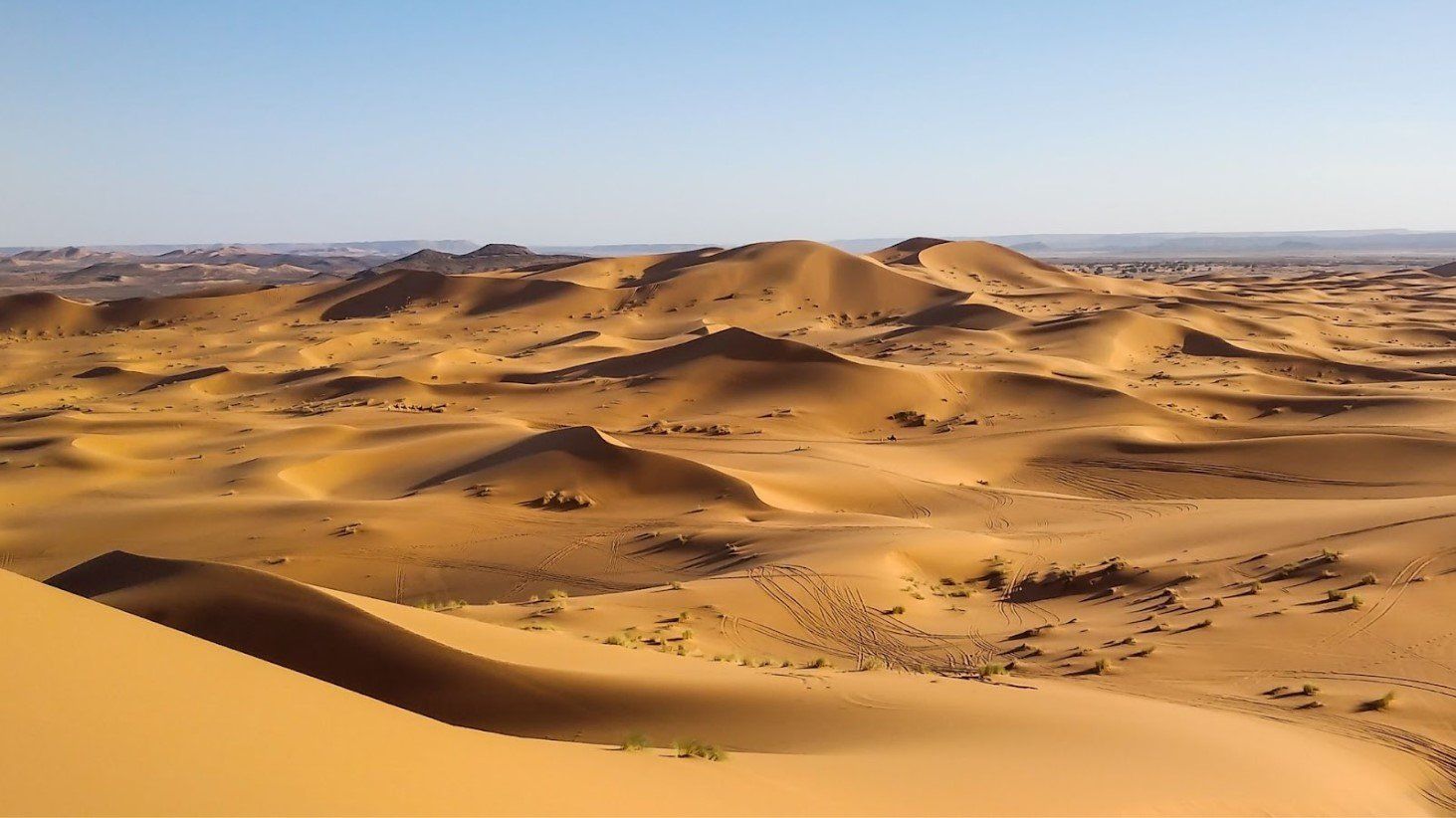 What if the Sahara Desert Became a Solar Farm?